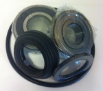 WF / WFF 65 - 75 - 100   Bearing Kit  IPSO