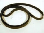 515498  BELT  PRIMUS (ribbed belt)