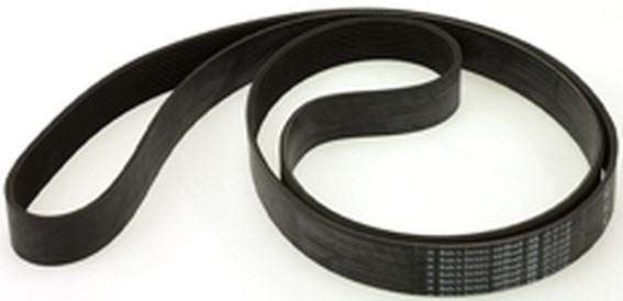 471771106  RIBBED BELT